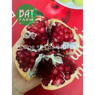 [Hàng giao nhanh trong ngày] Lựu đỏ Organic Nhập Khẩu Thái Lan