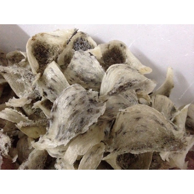 100g yến tổ thô nguyên chất- tặng kèm nhíp nhặt, táo đỏ, hạt chia và đường phèn | BigBuy360 - bigbuy360.vn