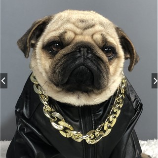 VÒNG CỔ MẠ VÀNG CHO CHÓ MÈO THÚ CƯNG RICH DOG ĐỦ SIZE CỰC SANG CHẢNH