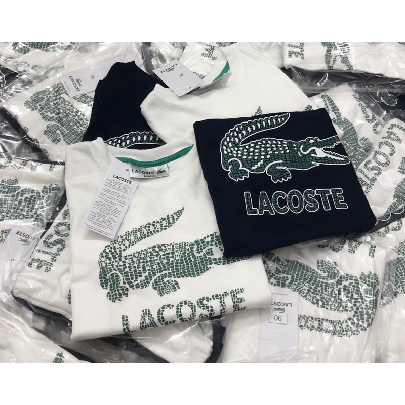 Áo cotton cộc tay bé trai cá sấu Lascote dư 12-35kg