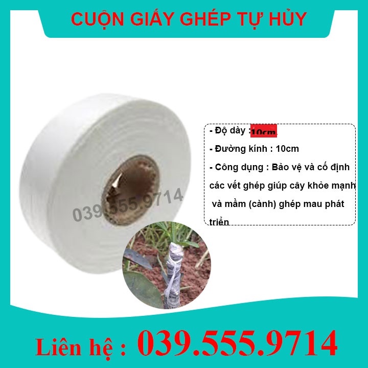 Giấy Ghép Cây Tự Hủy 10CM -DÂY QUẤN MỐI GHÉP