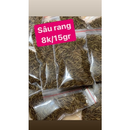 Sâu rang cho hamster