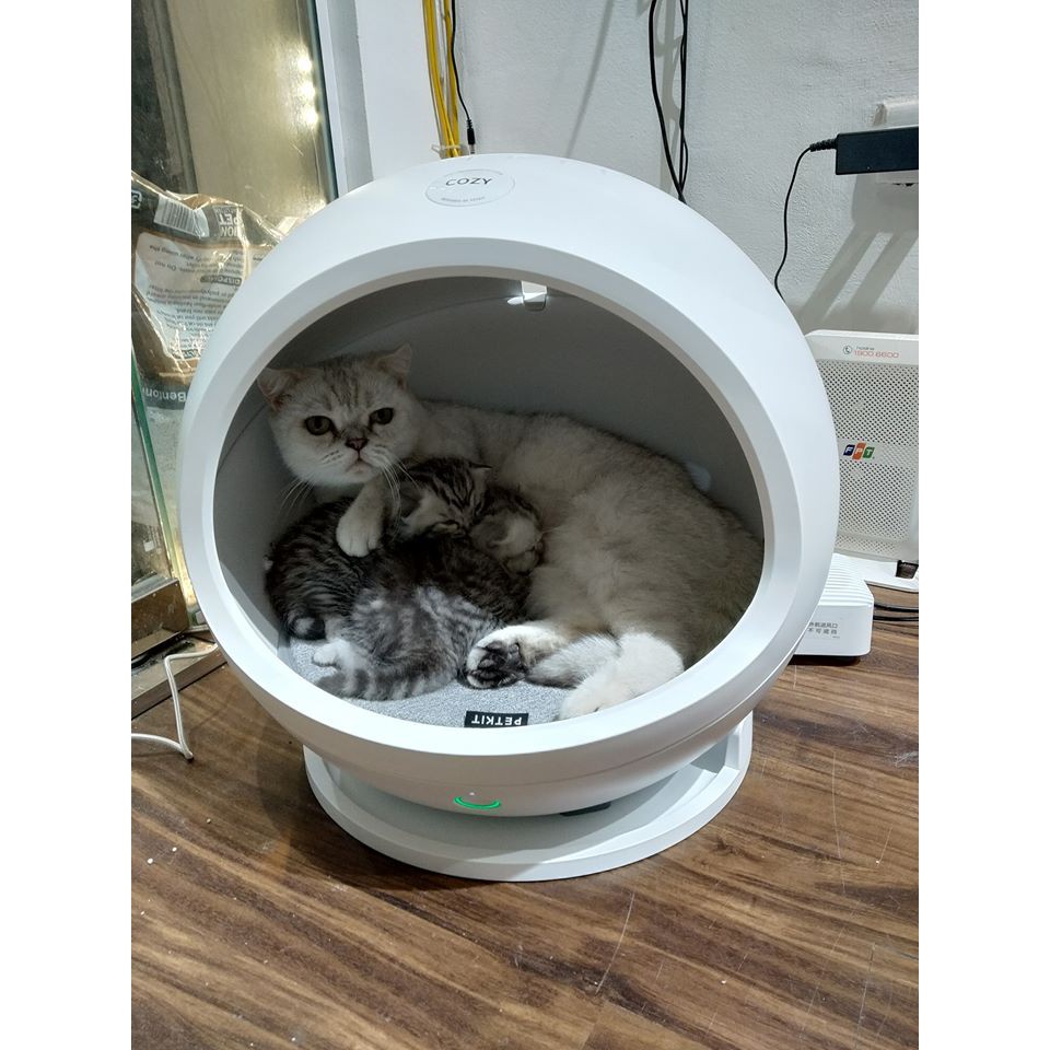 Ổ Điều Hòa PETKIT COZY điều khiển APP wifi từ xa