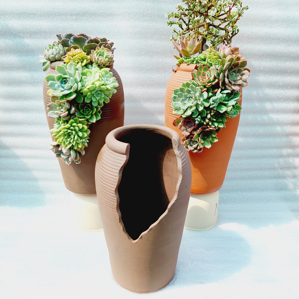 Chậu đất nung, Chậu sen đá - Bình mới cắt vân mây, miệng chậu 13cm, chiều cao 30cm