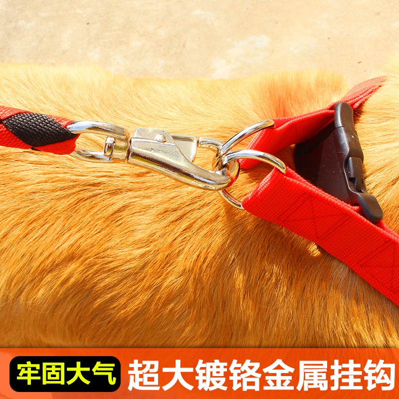 ▲✗■[Có thể bán riêng] Dây xích cho chó, vòng cổ chó cỡ lớn và vừa, đeo ngực, Teddy Golden Retriever, đồ dùng