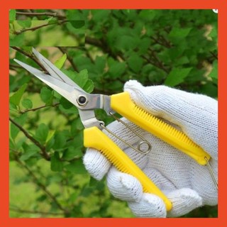 Kéo cắt tỉa cành màu vàng -  Kéo cắt tỉa cành nhánh nhỏ, hoa lá, cắt cuốn trái K109