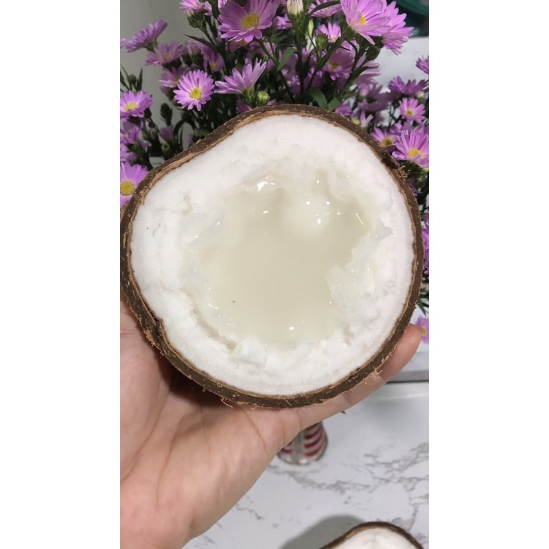 Dừa sáp đặc sản Trà Vinh Loại 1 trái 1kg-1,3kg