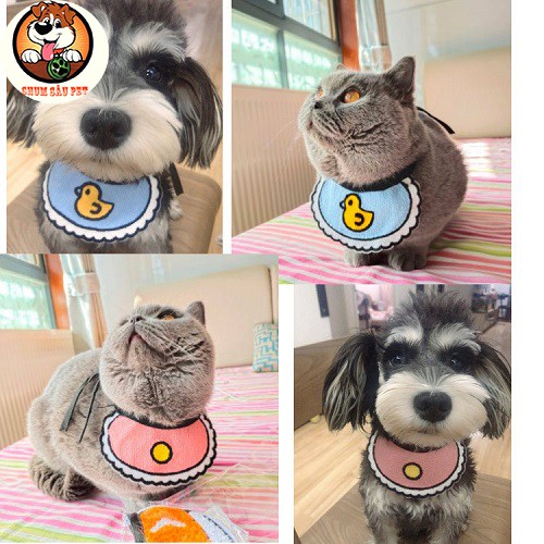 Yếm Đeo Dễ Thương Cho Chó Mèo