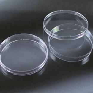 Đĩa petri nhựa nuôi cấy tinh thể, sinh vật | BigBuy360 - bigbuy360.vn