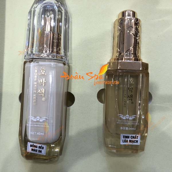 TÁI SINH MẦM PHÔI THAI - MẦM PHÔI THAI CHÍNH HÃNG