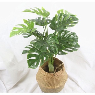 Cây lá rùa cao cấp -cây giả