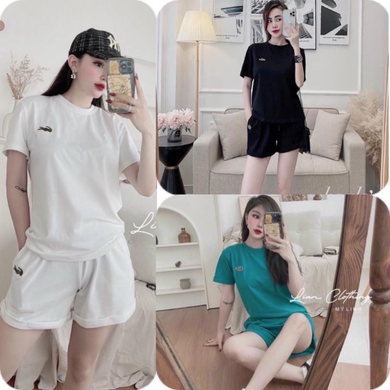 Sét Đồ Bộ Thể Thao Đùi Thêu Cá Sấu Phong Cách Ulzzang Unisex, Freesize Chất Thun Cotton Không Phai(Ảnh Thật)