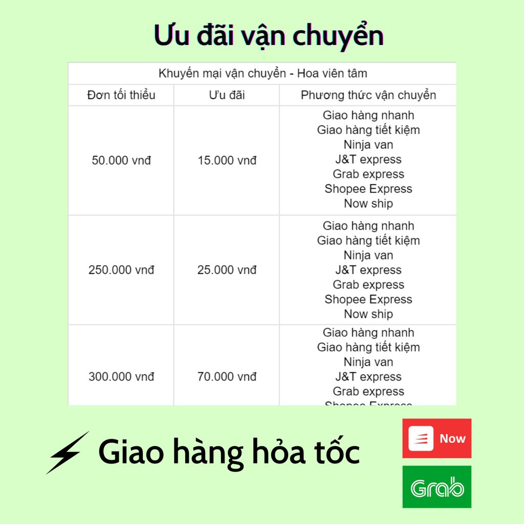 Combo 50 hạt giống mười giờ kép mix màu kèm deal đầy đủ