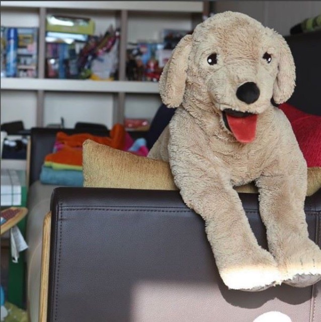 CHÓ GOLD BÔNG IKEA  70cm