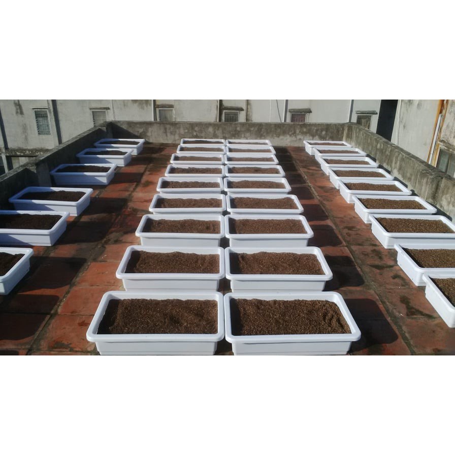 Khay Trồng Rau Thông Minh - Chậu Nhựa Trồng Rau, Trồng Hoa Kiểu Nhật KT 48x34x16 Cm