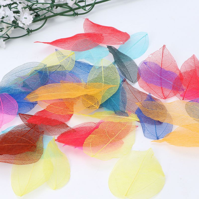 Set 50 lá cây vân mỏng tự nhiên làm trang sức