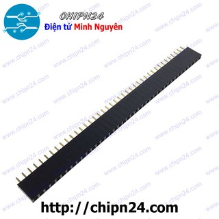 Header Hàng rào Cái Đơn Vuông 40p 2.54MM