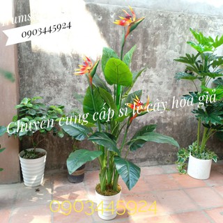 Cây Thiên Điểu 3 Nhánh cao 1m45 -Cây Giả