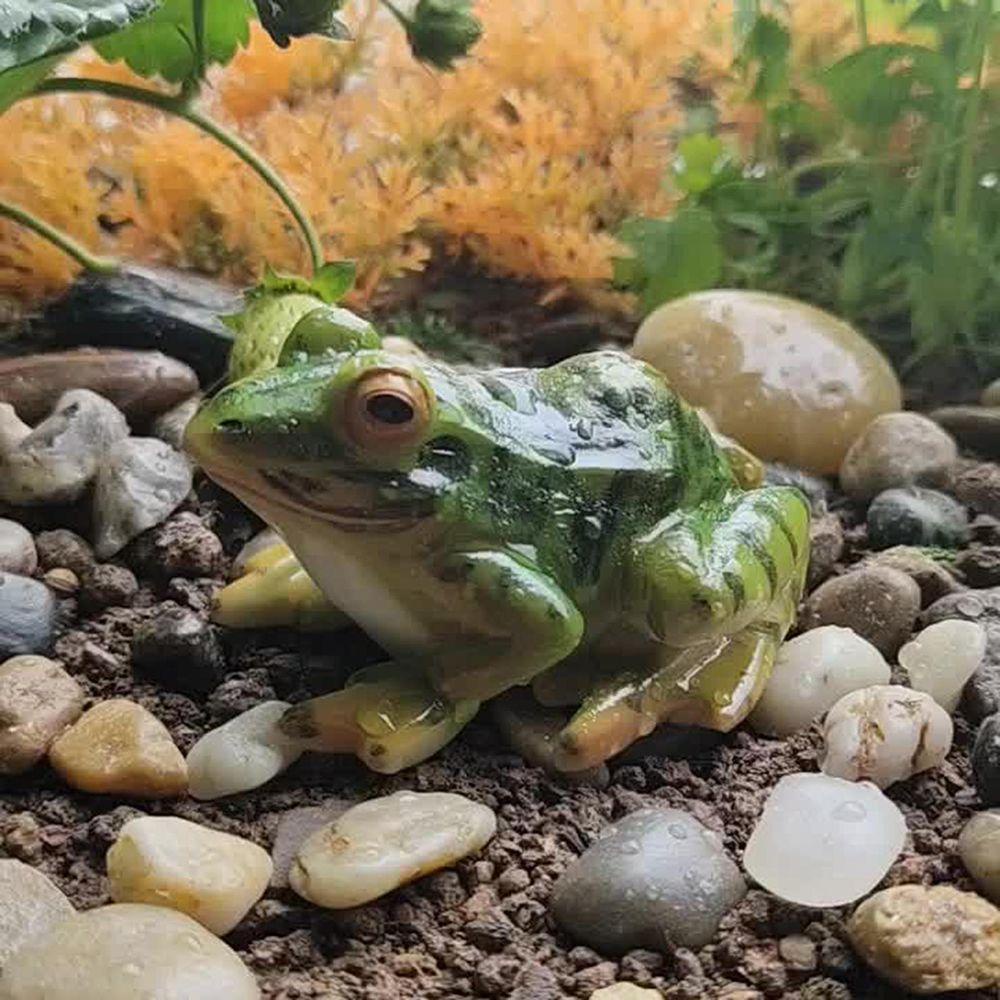 Set 24 Tượng Ếch Handmade Mini Trang Trí Tiểu Cảnh / Trong Nhà / Ngoài Trời