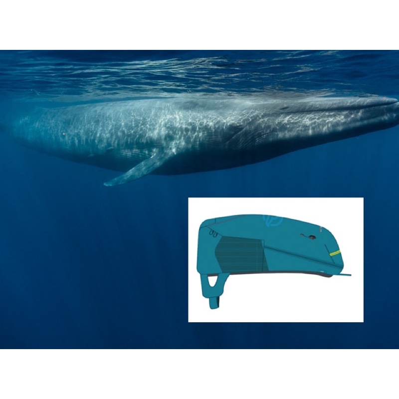 BALO DU LỊCH / DÃ NGOẠI / LEO NÚI / CẮM TRẠI TERNUA JAGGER 18L