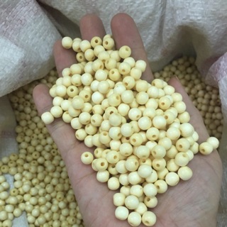 combo 1kg dâu cành ( mua càng nhiều càng rẻ )