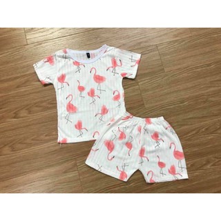 Bộ cotton giấy cong91