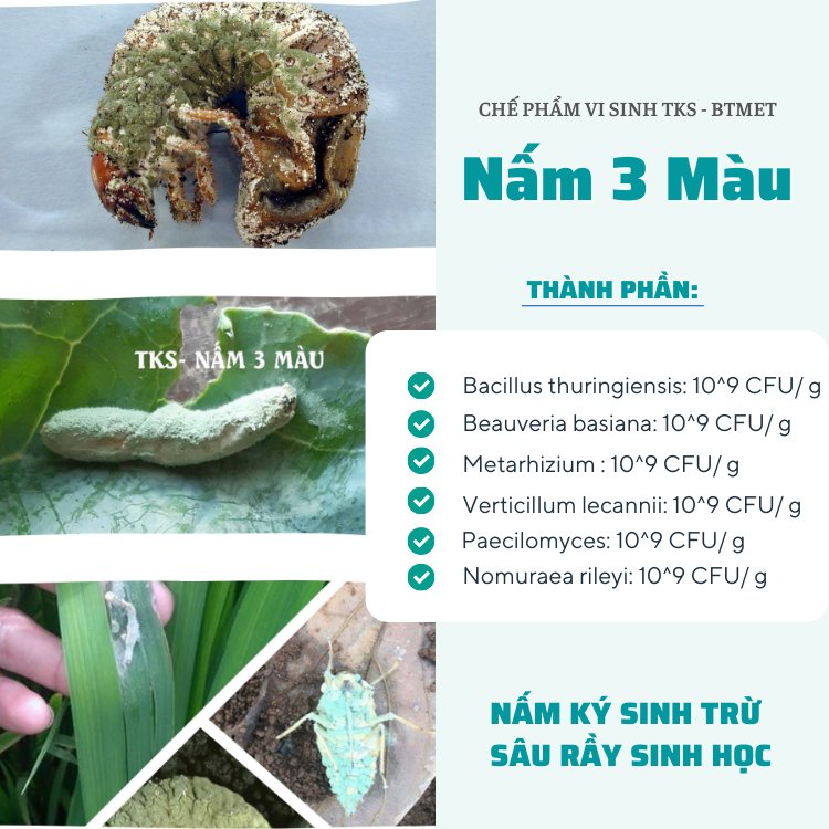 BTMET NẤM 3 MÀU Trừu Sâu Sinh Học Trừ Nhện Đỏ, Bọ Trĩ, Sâu Rầy - Gói 200gr