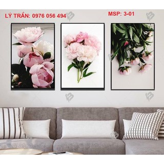 Bộ 3 tranh 40x60
