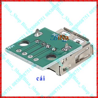Bo chuyển USB đực/cái 4P DIP