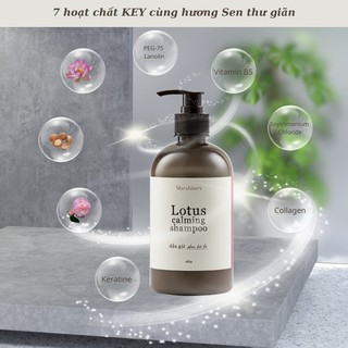 Dầu gội hương sen Lotus Calming Shampoo - 480ml