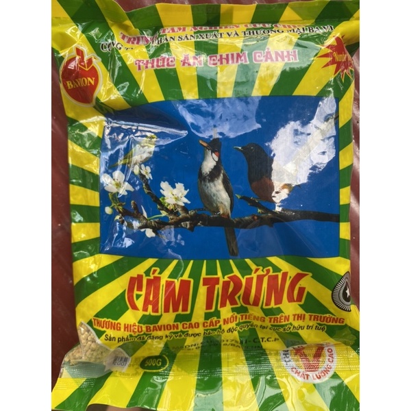 Cám trứng xanh