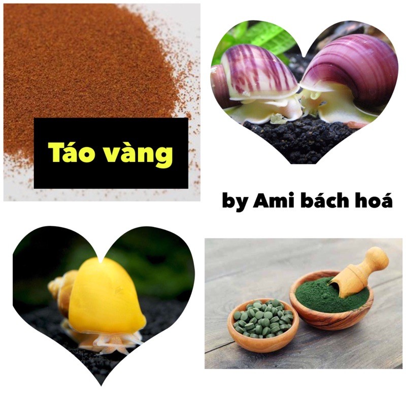 Ốc táo vàng lớn (mua 5 tặng 1, 10 tặng 5)