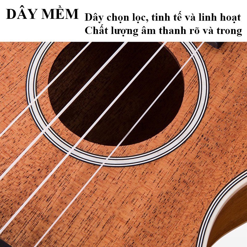 Đàn Ukulele Concert Size 23inch Gỗ Gụ Nguyên Khối,Tặng Kèm Bao Đựng Và Full Phụ Kiện,Đàn Có Sẵn Nhiều Hình Đáng Yêu