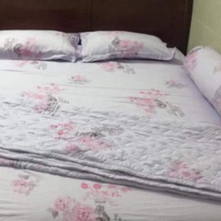 Trọn bộ ga gối Tencel lua cao cấp