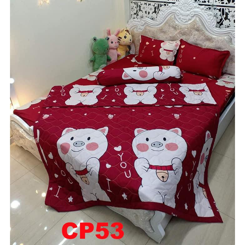 Bộ chăn ga cotton cao cấp Poly 5 món không xù lông, không bay màu Chăn hè cotton thoáng mát