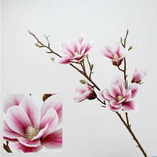Mộc lan cao su 5 bông cành dài 100cm