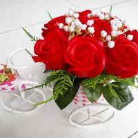 Combo 5 xe đạp hoa