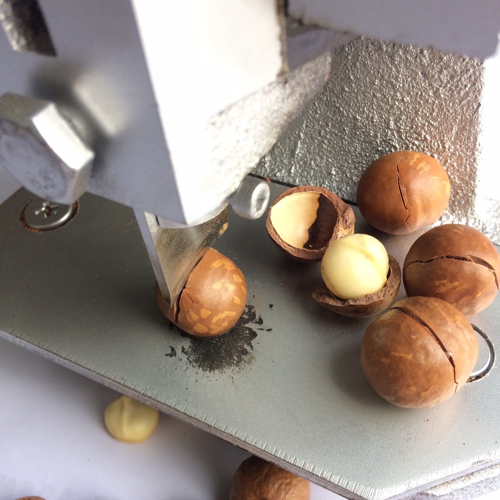 500g Hạt MACCA sấy Lạnh Size CHỢ (19-23mm) | BigBuy360 - bigbuy360.vn