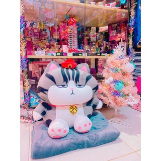 GẤU MỀN MÈO HOÀNG THƯỢNG