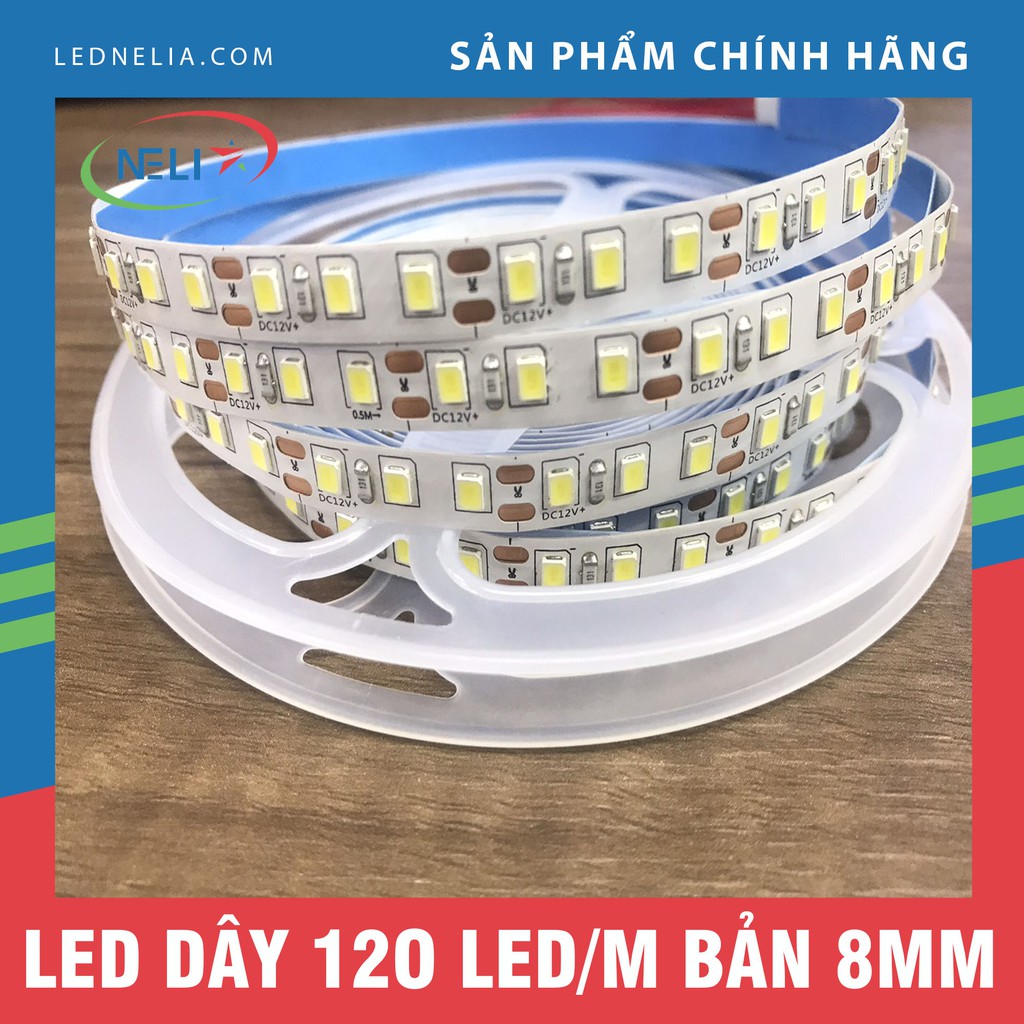 Cuộn led dây 5m bản 8mm chip led 2835 120 led/m siêu sáng.