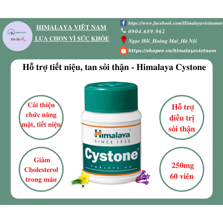 Viên hỗ uống trợ Thận - Himalaya Cystone