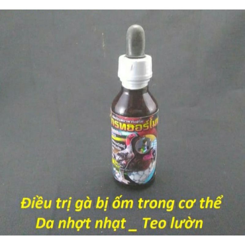 ( HOT ) siêu phẩm phục hồi gà ốm trong nhập khẩu Thái Lan siêu mạnh