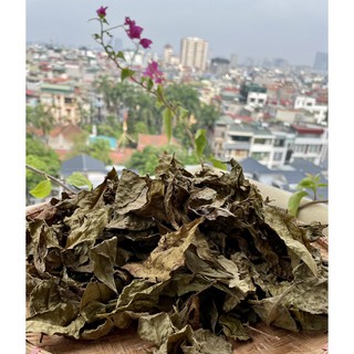 Trà Bancha (Trà Thực Dưỡng)