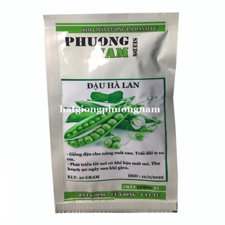 10GR - hạt giống đậu Hà Lan