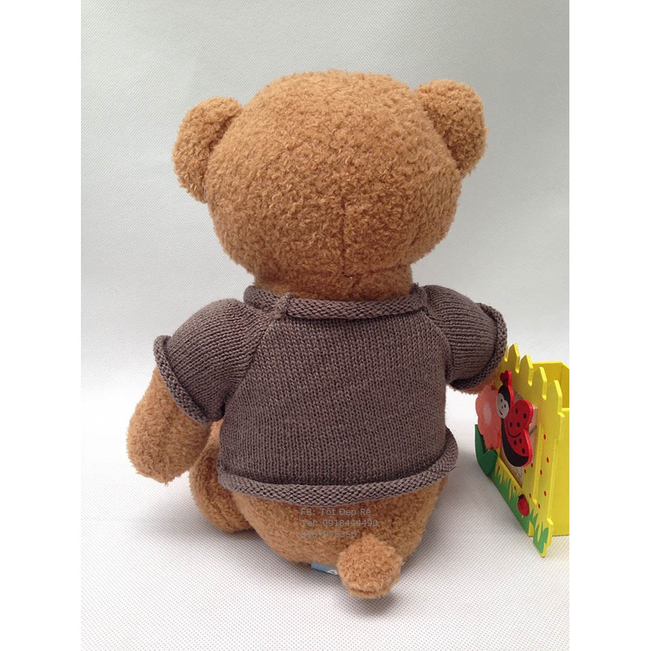 Gấu Teddy mặc áo