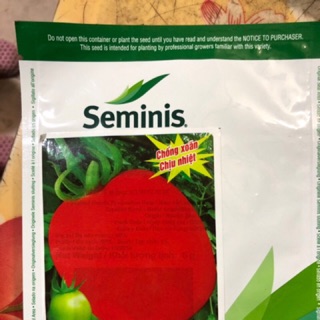 HẠT GIỐNG CÀ CHUA F1 MONTAVI - GIỐNG THÍCH ỨNG RỘNG , CHỊU NHIỆT