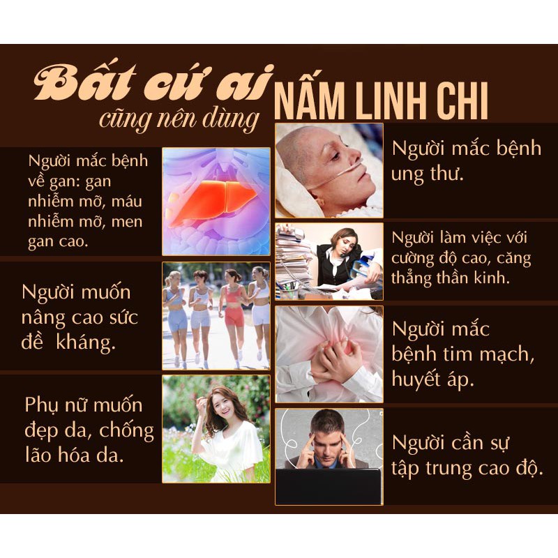 [Rẻ] Nấm Linh Chi Rừng 💥 Free Ship 🌟 Nấm Linh Chi Cắt Lát Hàng Chất Lượng Tốt Cho Sức Khỏe (NX)