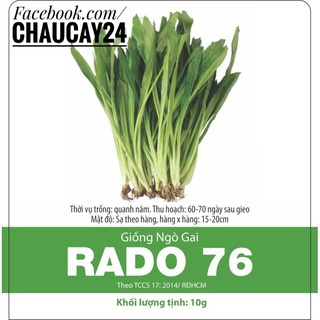 Ngò Gai (10 gr) Hạt Giống Rau Mùi Tàu Thơm ngon, dễ trồng, siêu lá