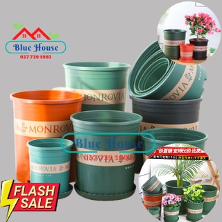 Combo 10 chậu nhập khẩu size 0.5 gal - 3gal