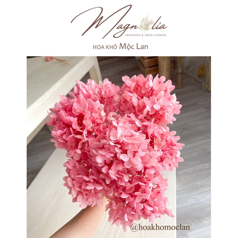 Hoa khô Cẩm Tú Cầu Hộp hàng handmade siêu đẹp, trang trí cài tóc cô dâu
